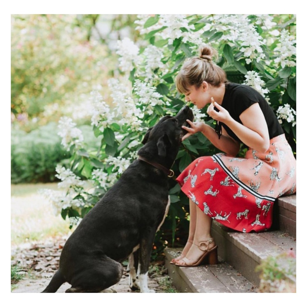 NWT, Anthropologie, Hutch Dalmation Skirt - Picture 6 of 6